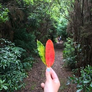 Meet your Posher, Elif